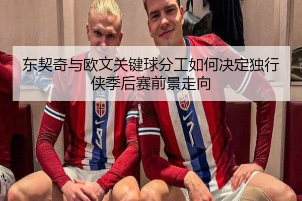 东契奇与欧文关键球分工如何决定独行侠季后赛前景走向